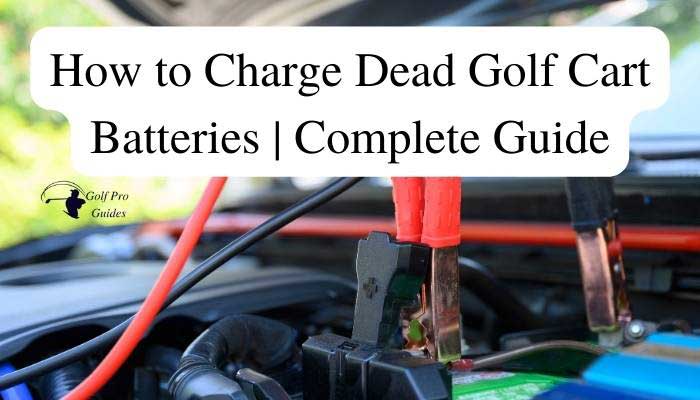 Golf cart batteries dead how to charge