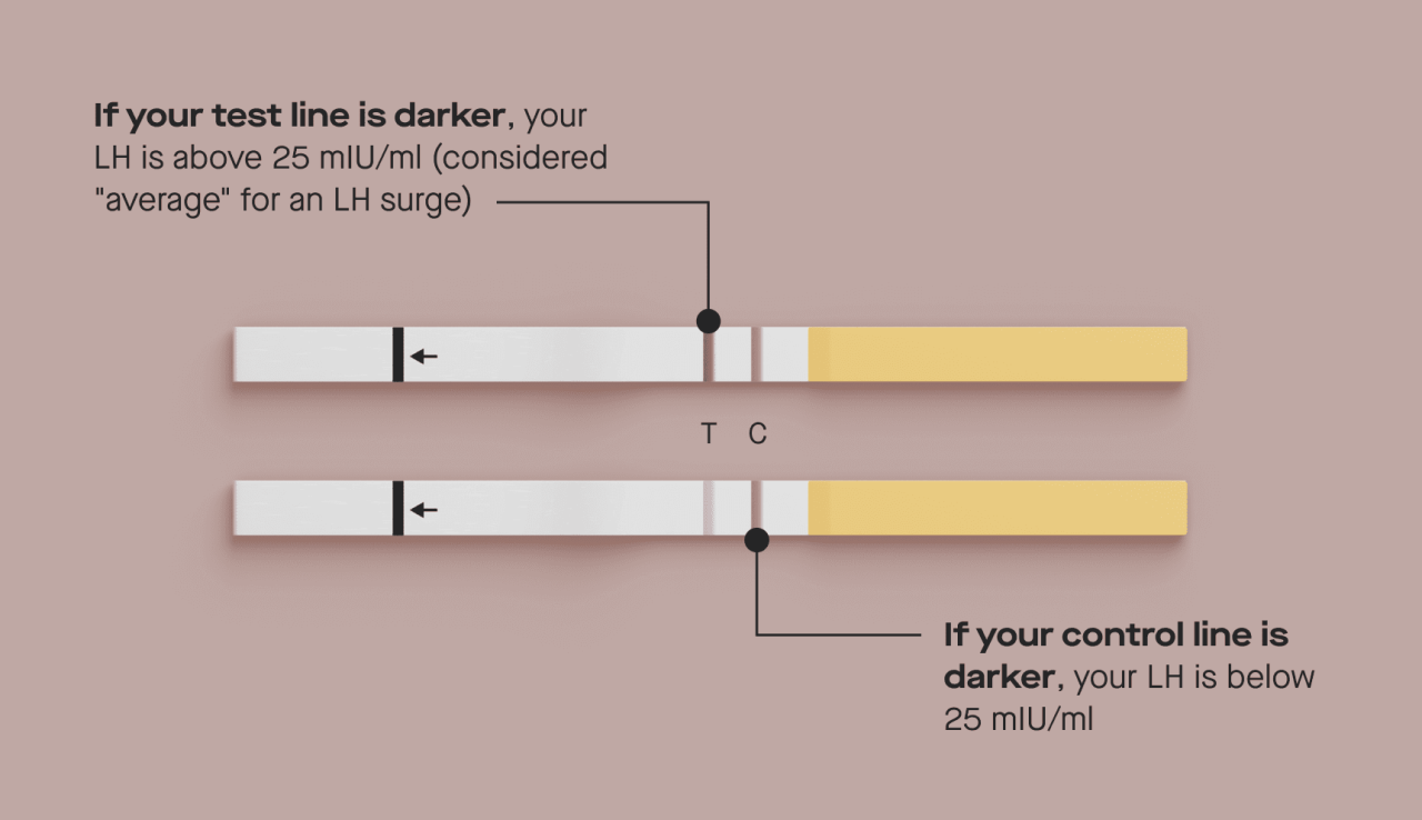 Aquadur test strips how to read