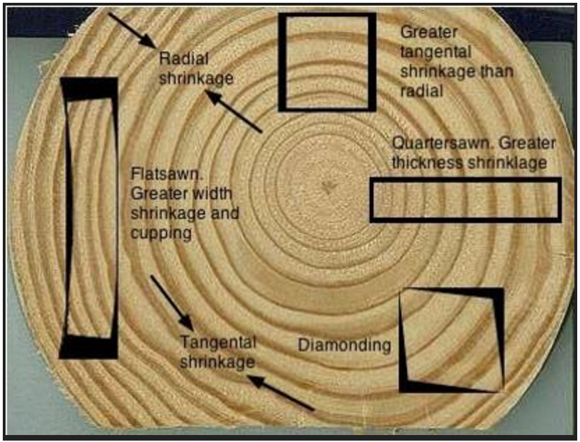 1 ton of coal equals how much wood