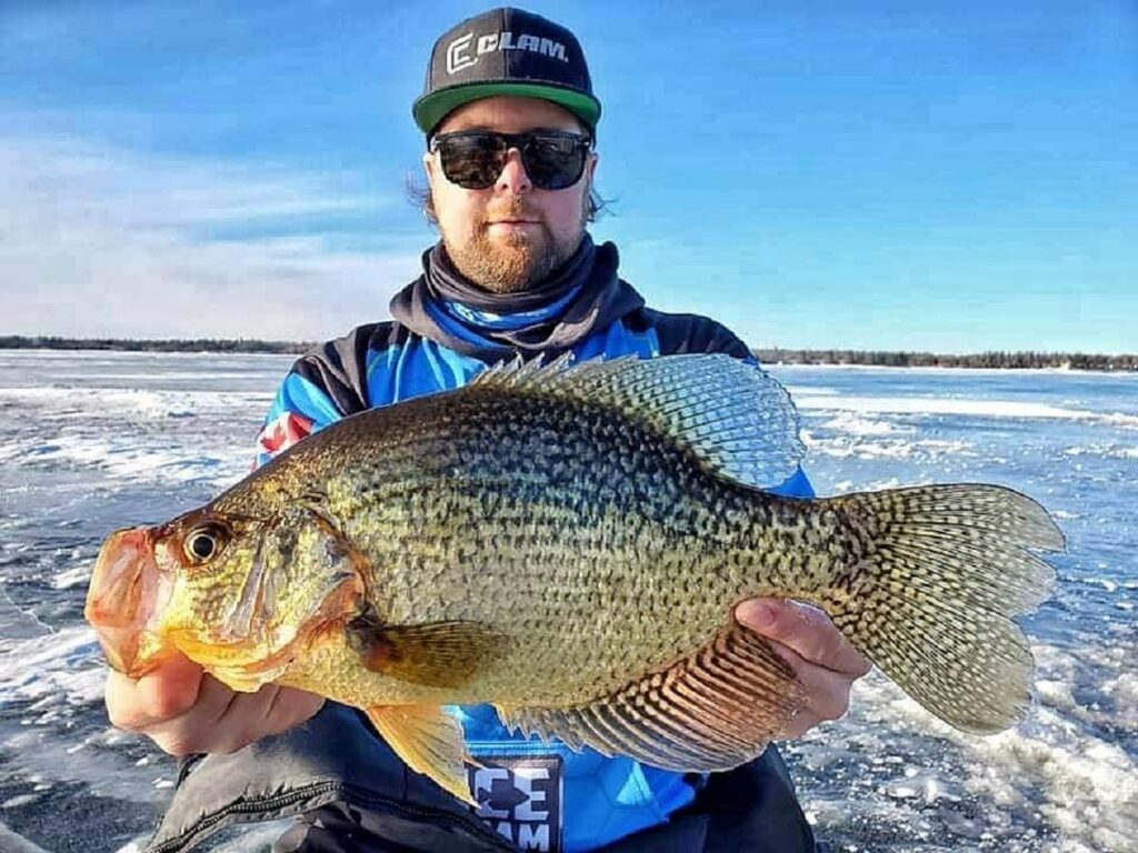 How big does crappie have to be to keep