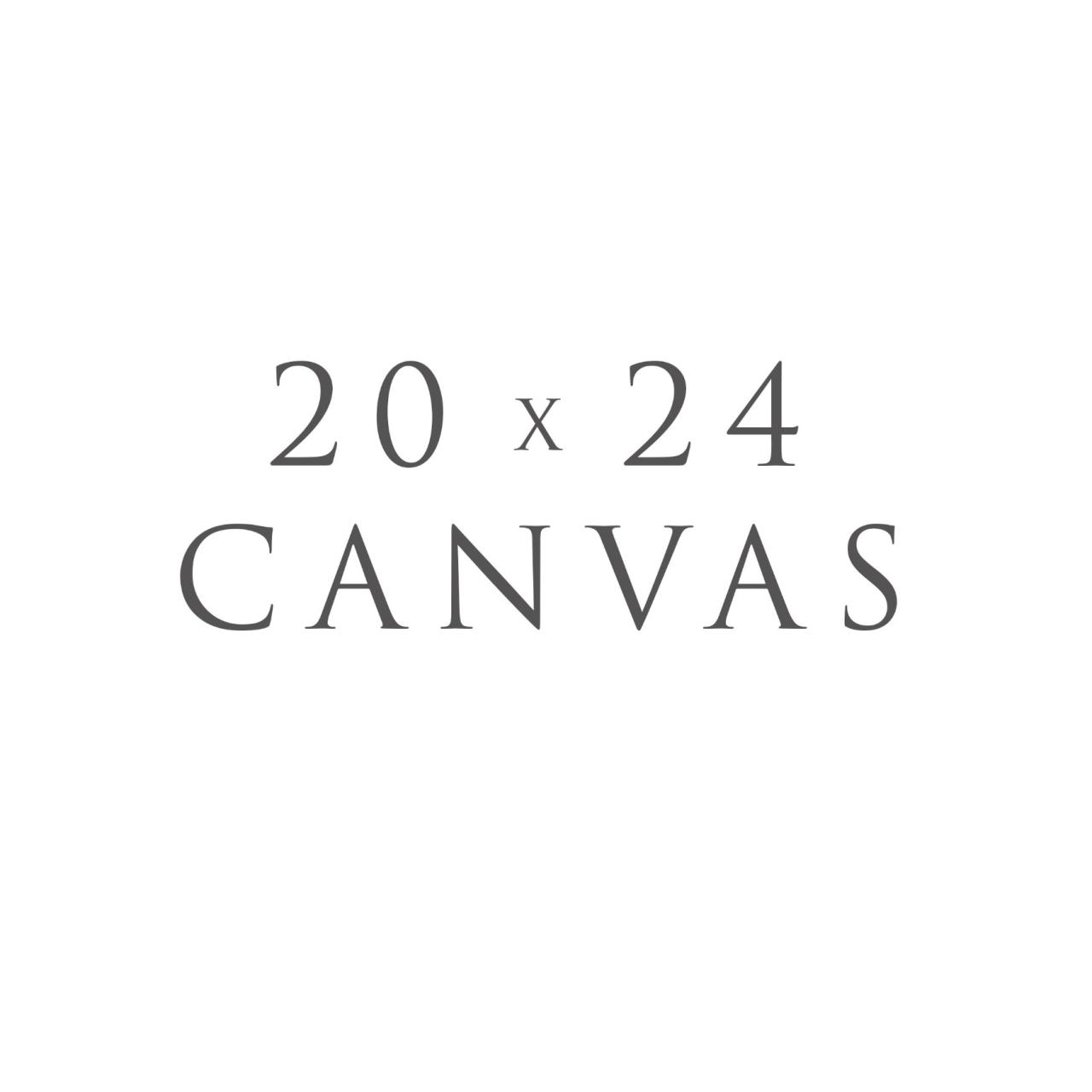 How big is 20x24 canvas