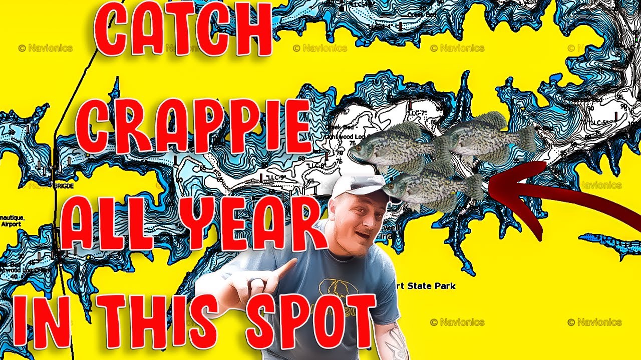 How big does crappie have to be to keep